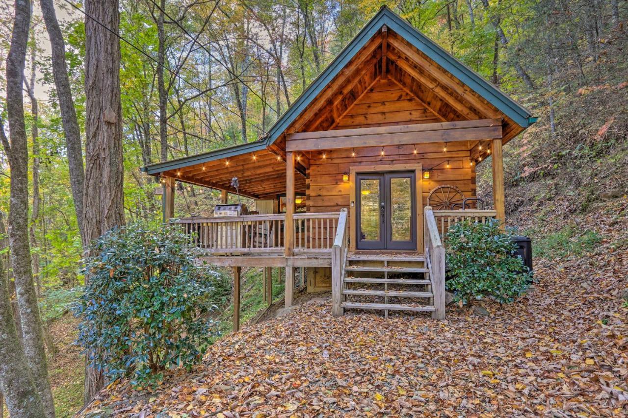 Charming With Deck And Grill! Hébergement de vacances Blue Ridge